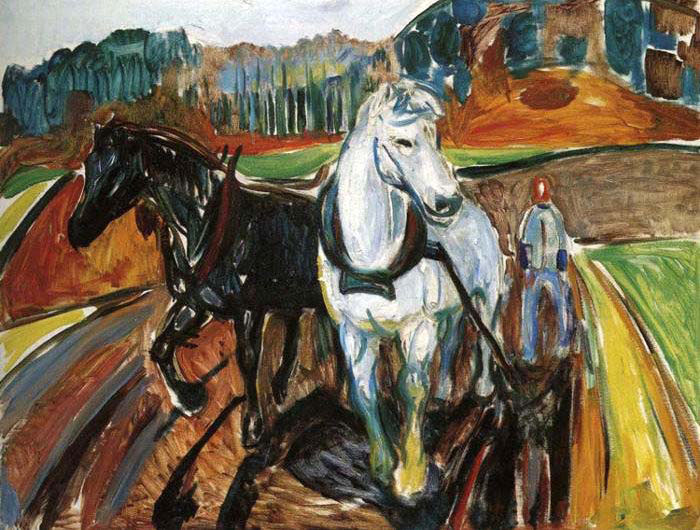 horse team